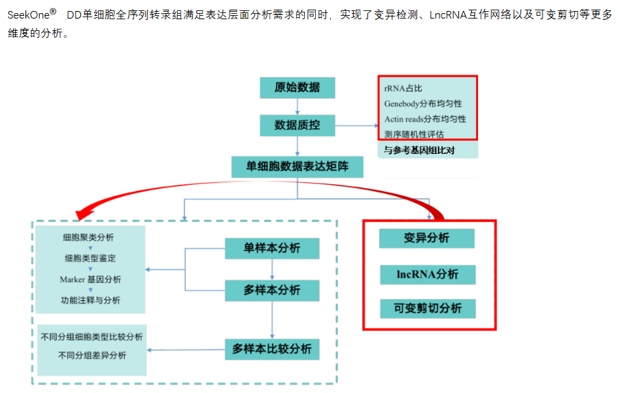 分析内容