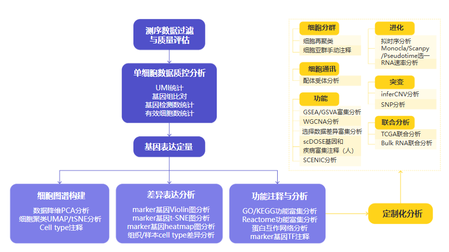 生信分析