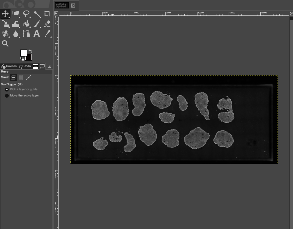 Image After Rotation