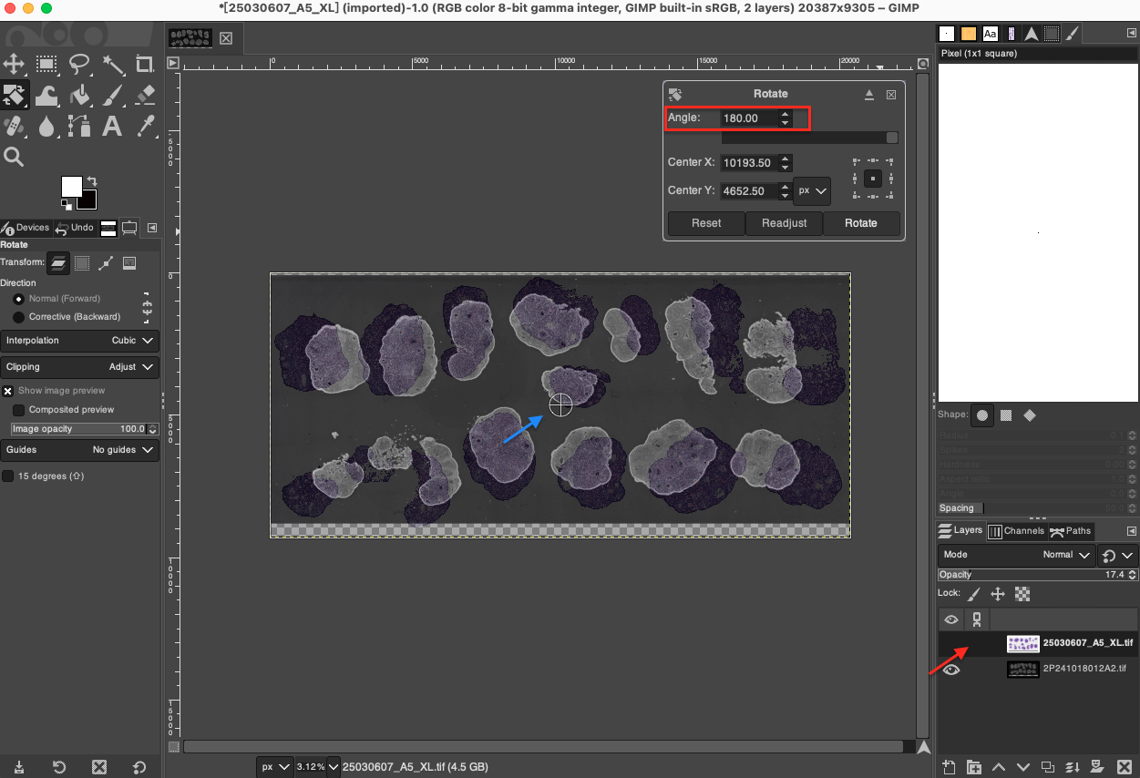 Rotate Image Details