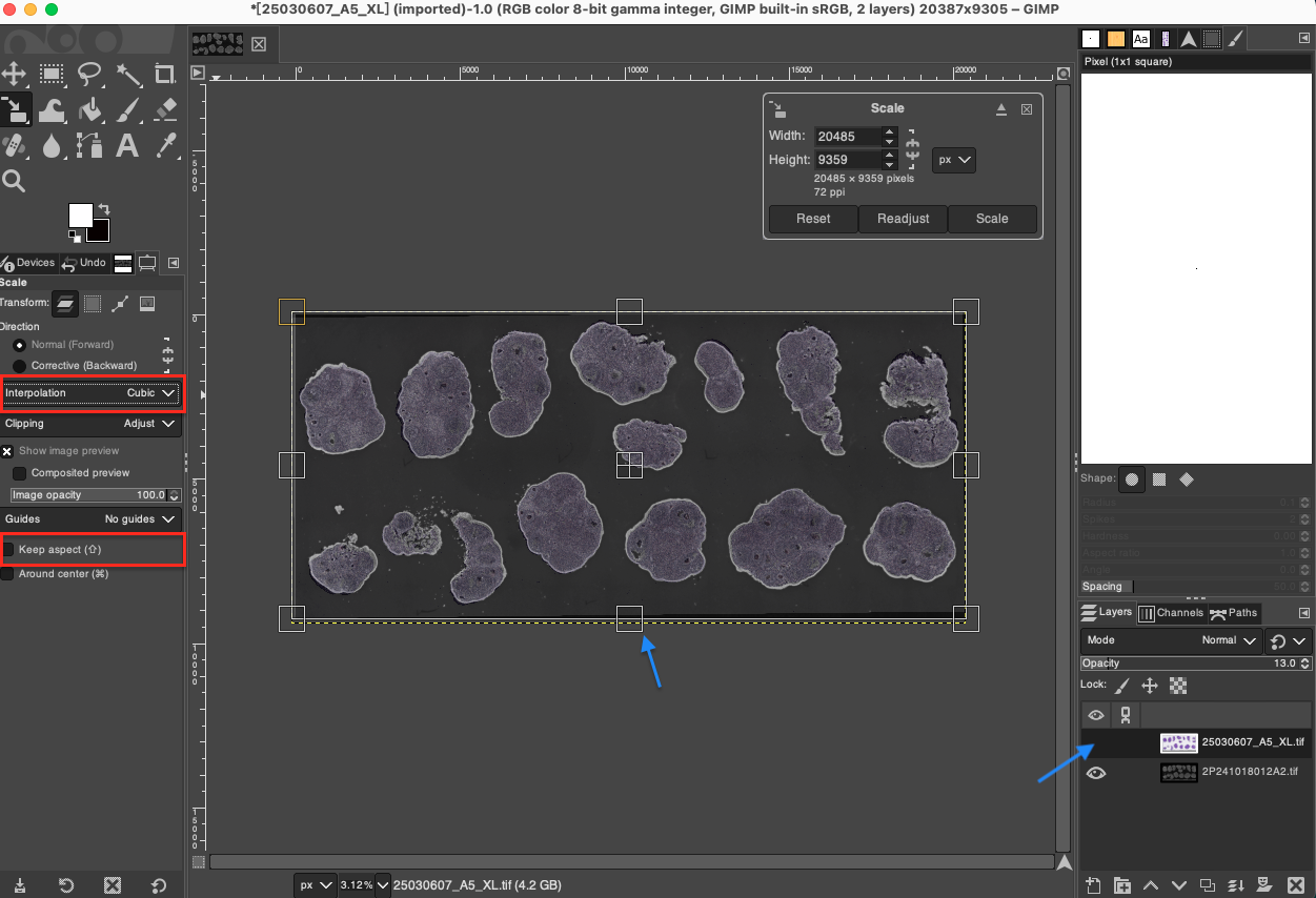 Advanced Scaling Fine-tuning