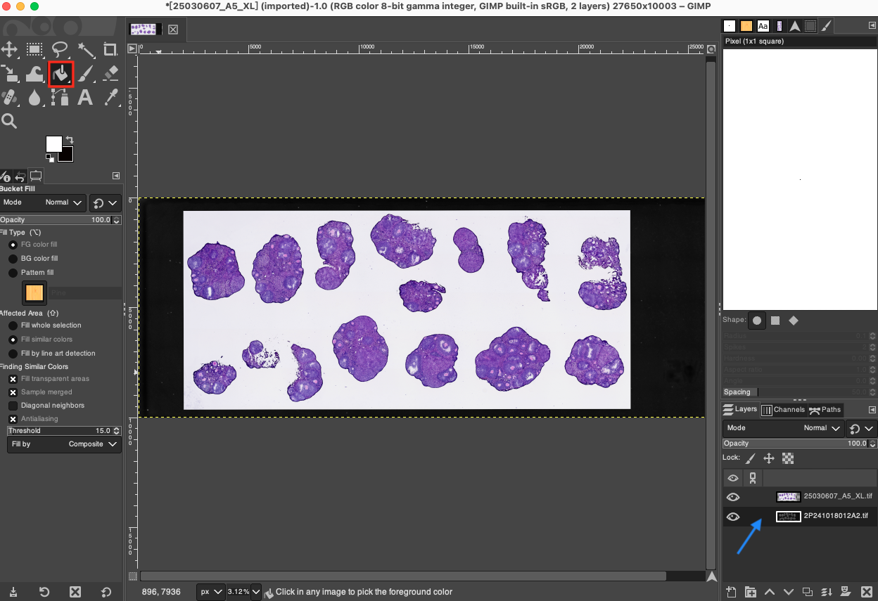 Fill Foreground Color