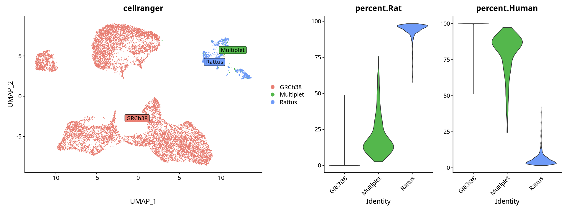 基因表达百分比可视化