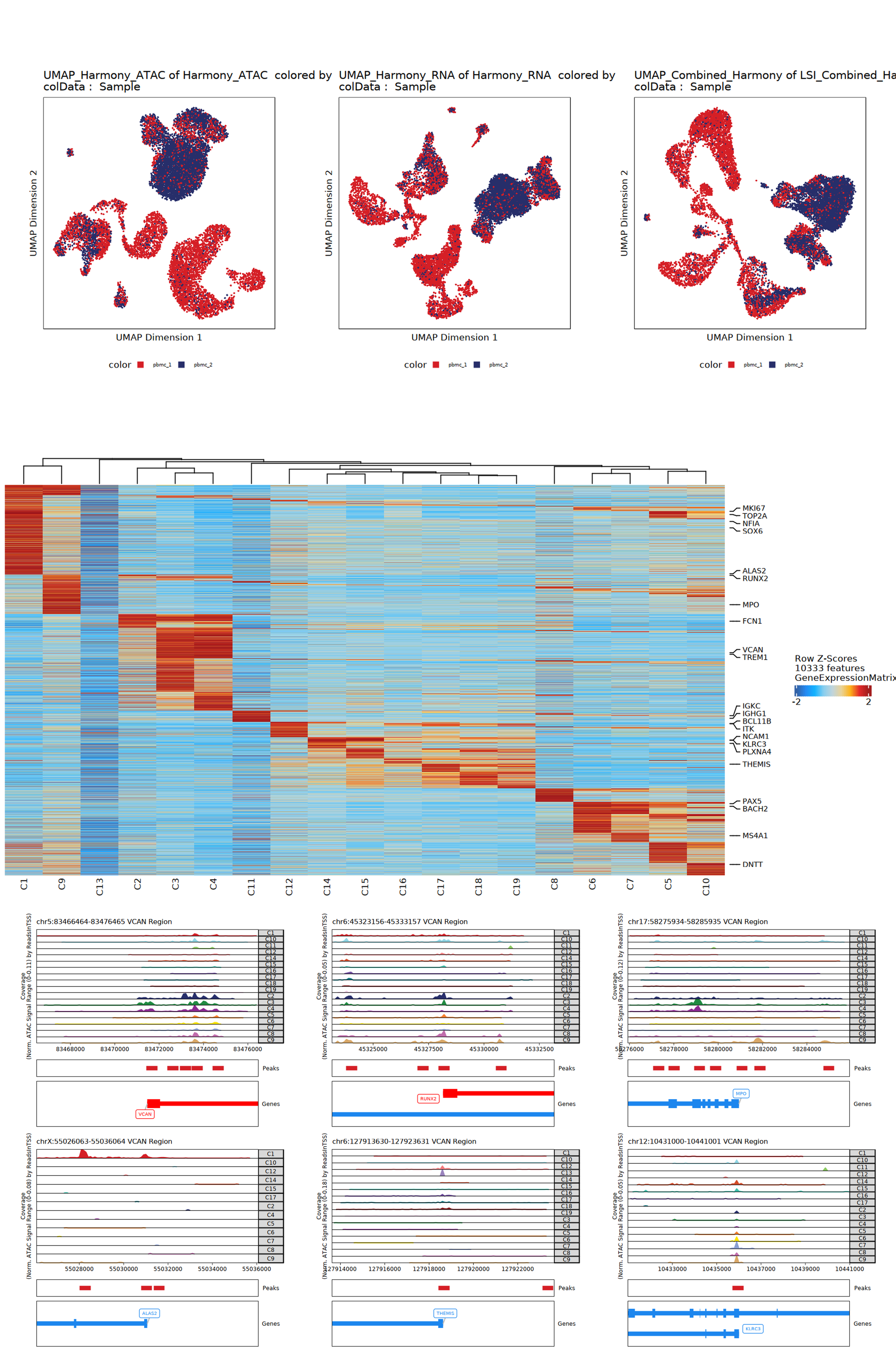 ArchR Basic Analysis Results Overview