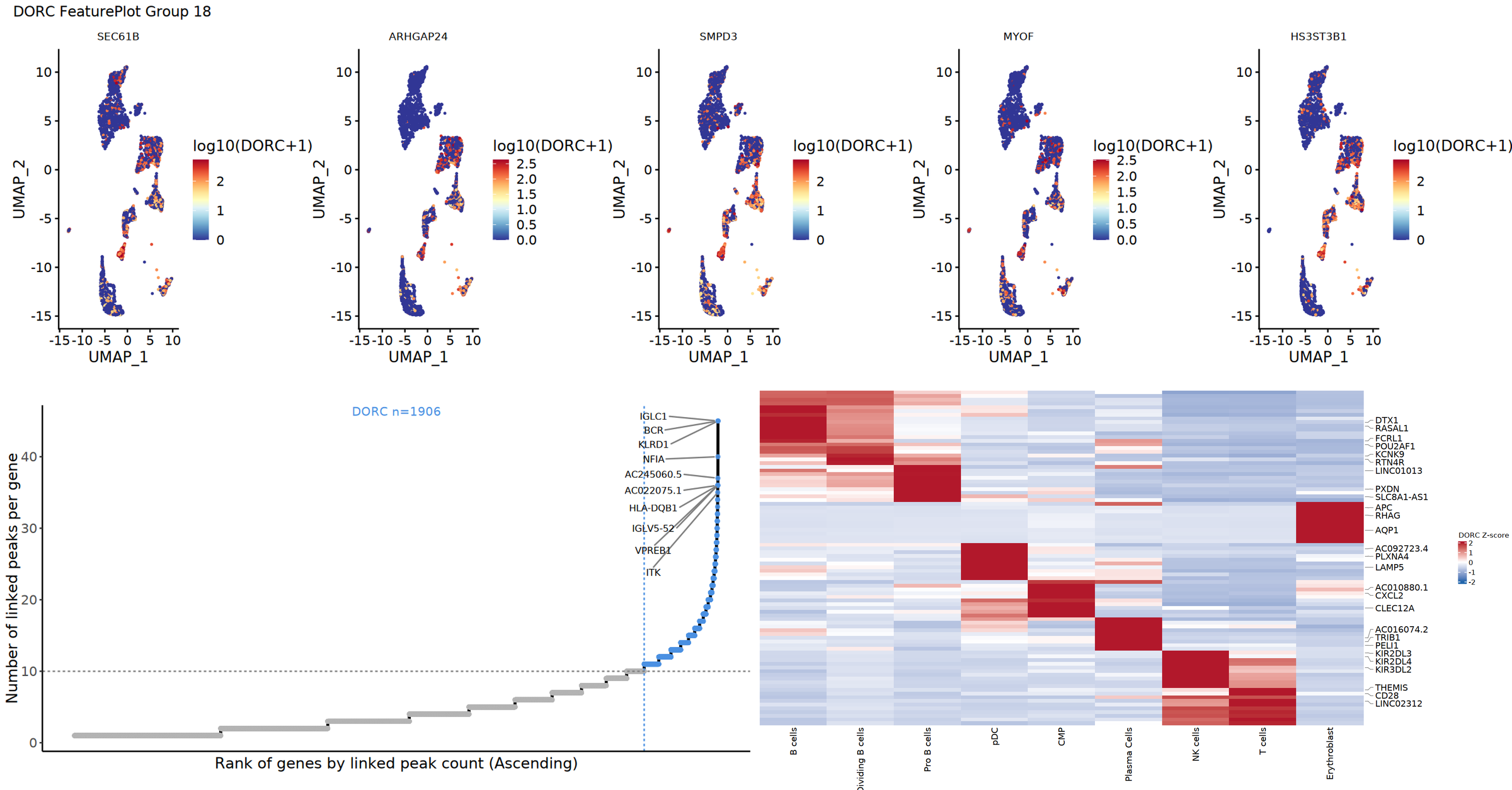 DORC Analysis Results Overview