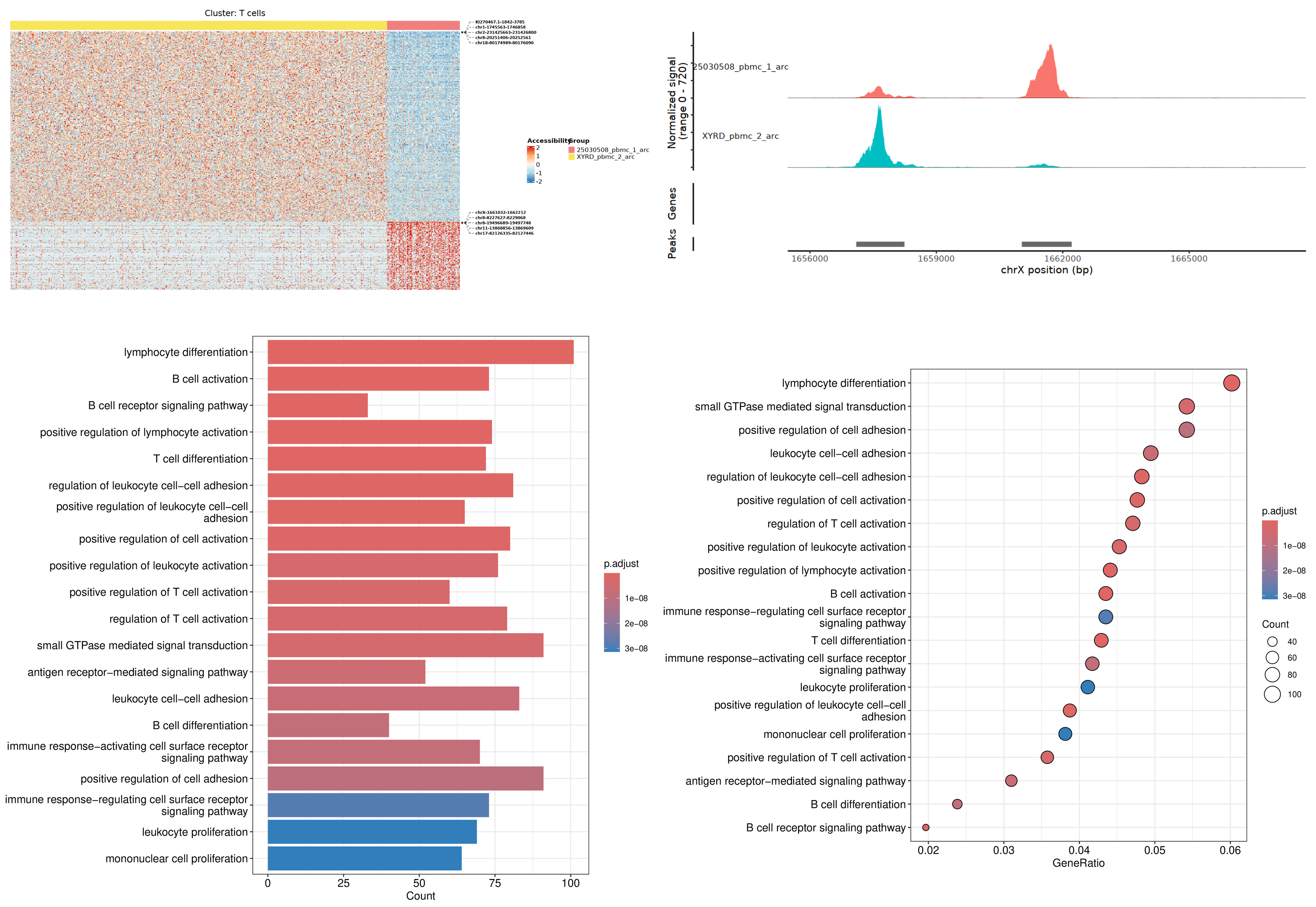 Differential Accessibility Analysis Results Overview