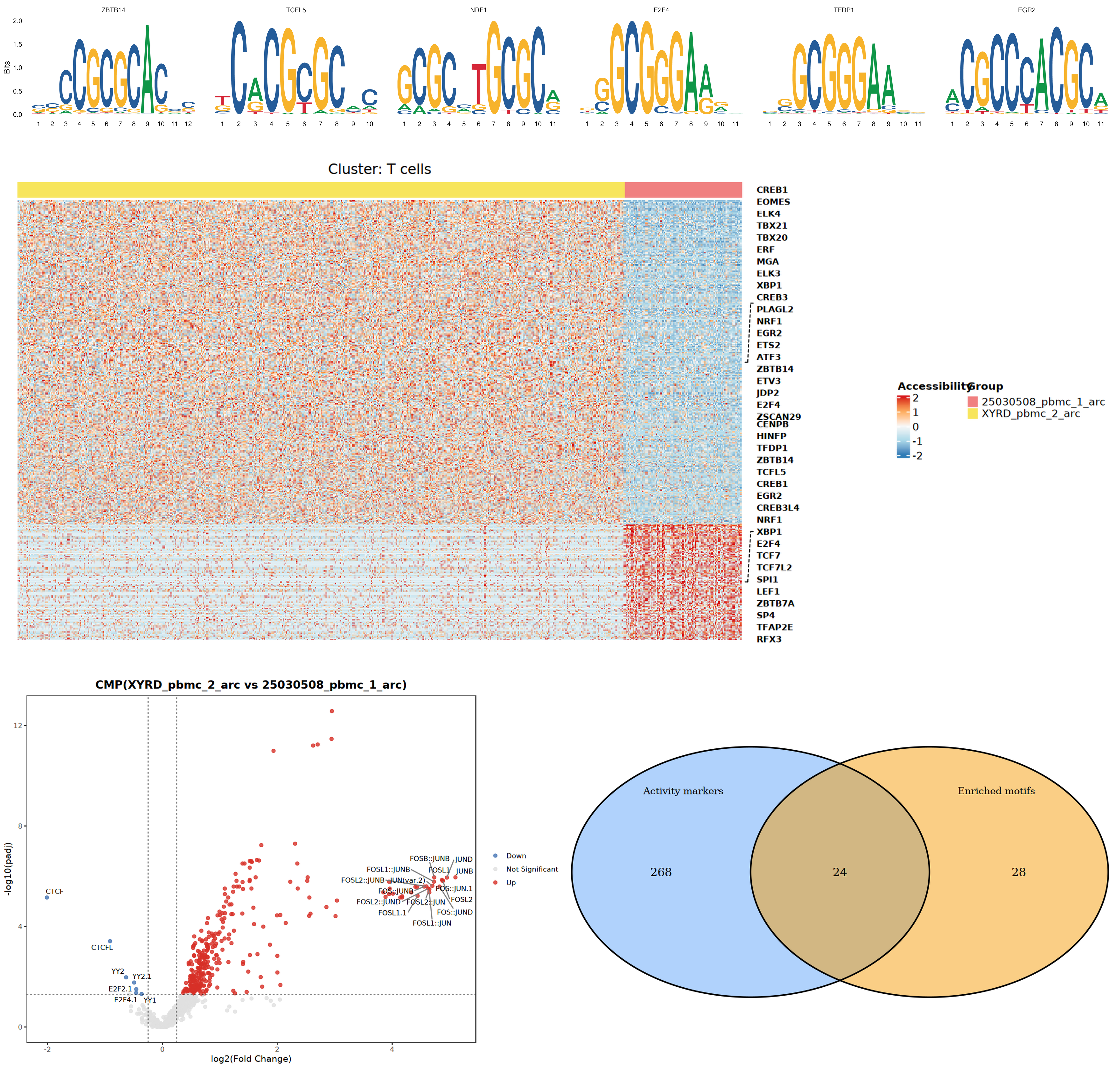 Motif Analysis Results Overview