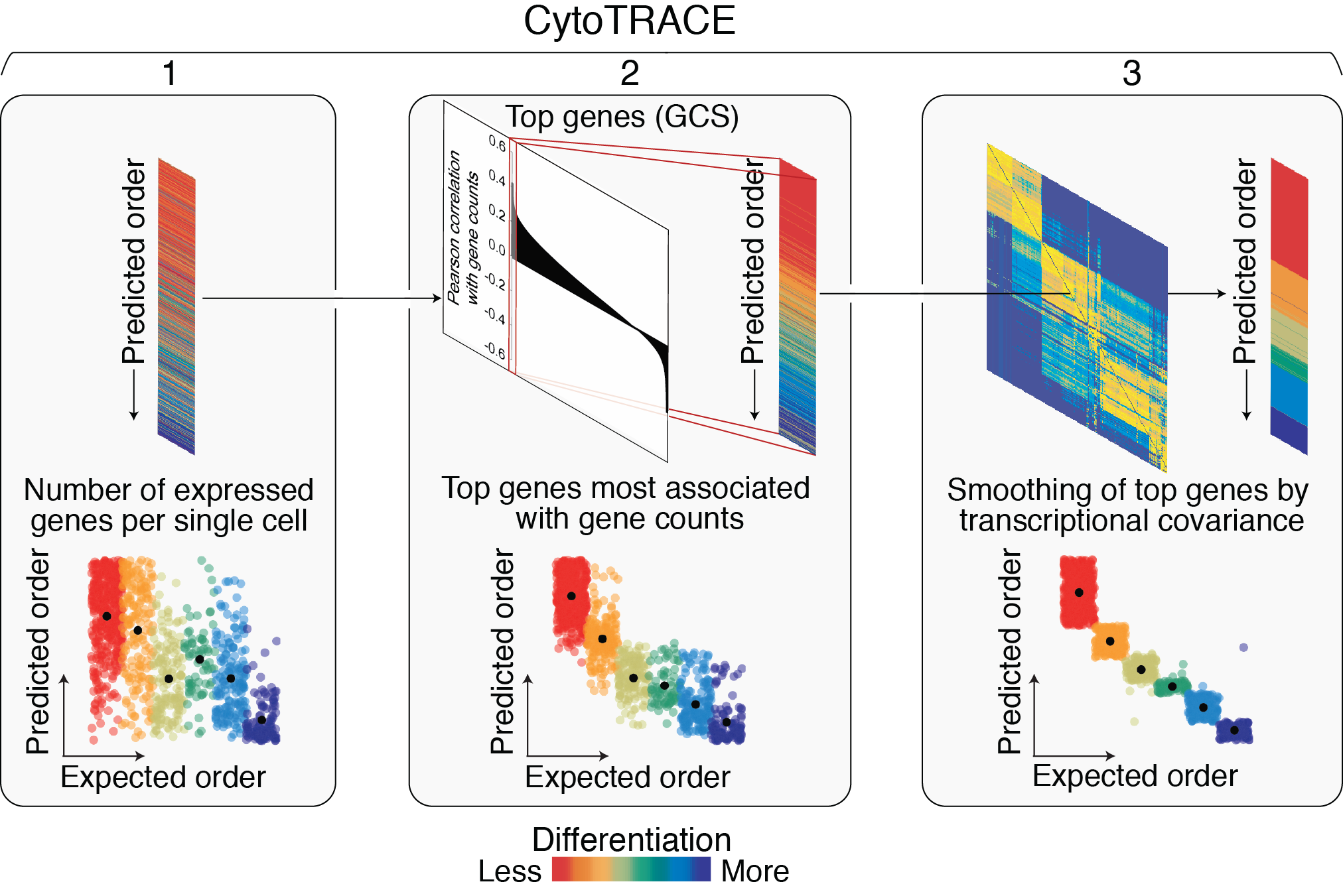 CytoTRACE原理图