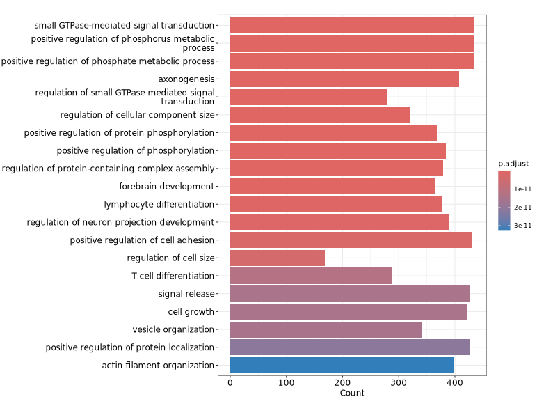 GO富集分析Barplot示意