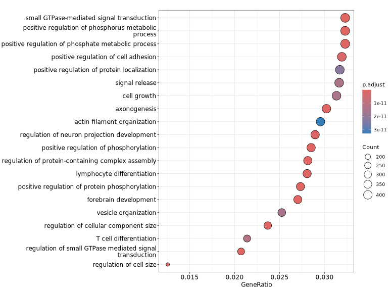 GO富集分析Dotplot示意