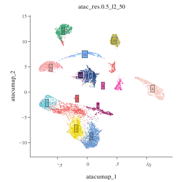 ATAC 聚类小提琴图
