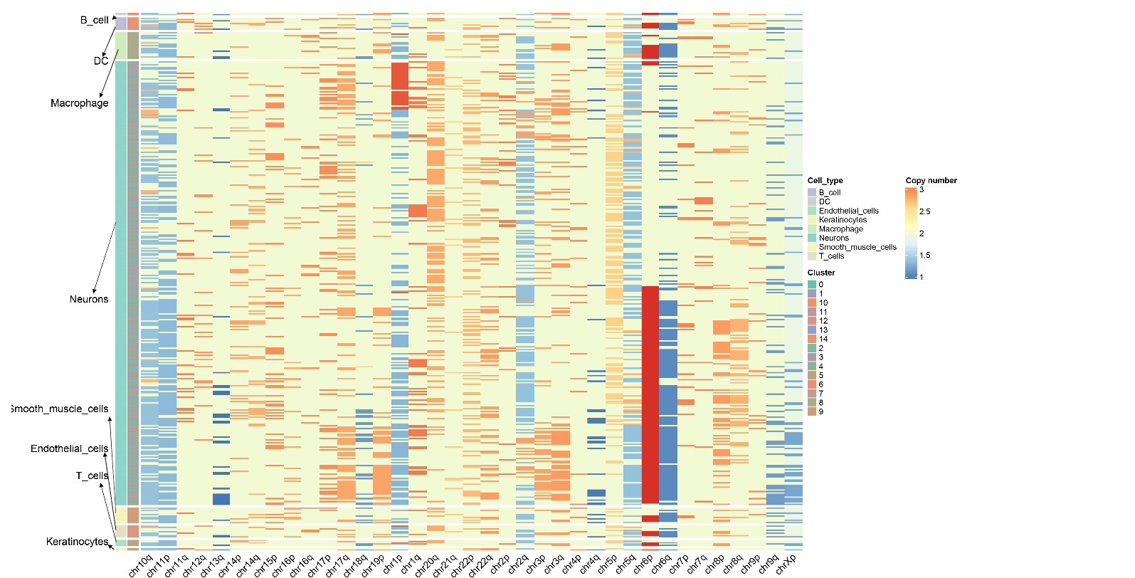 CNV Heatmap