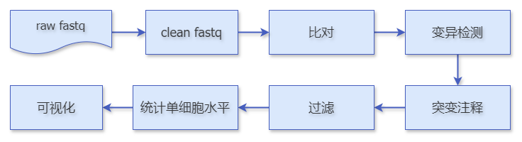 image-20240703094254609