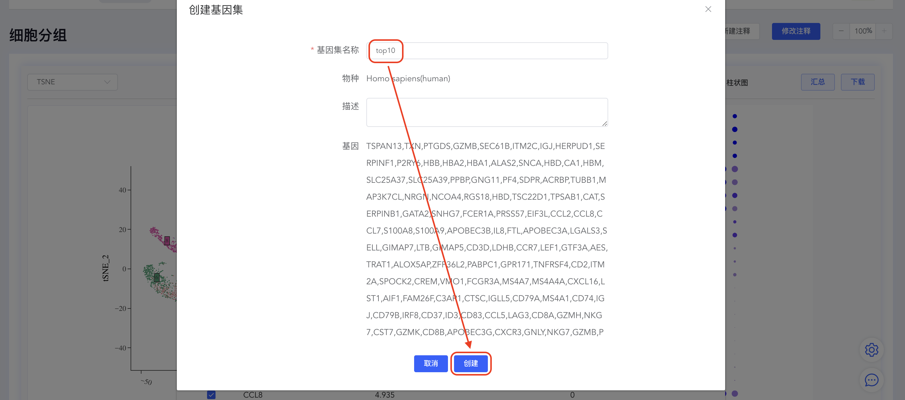 细胞注释_topN基因集3