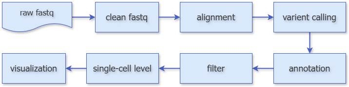 image-20250610134054296
