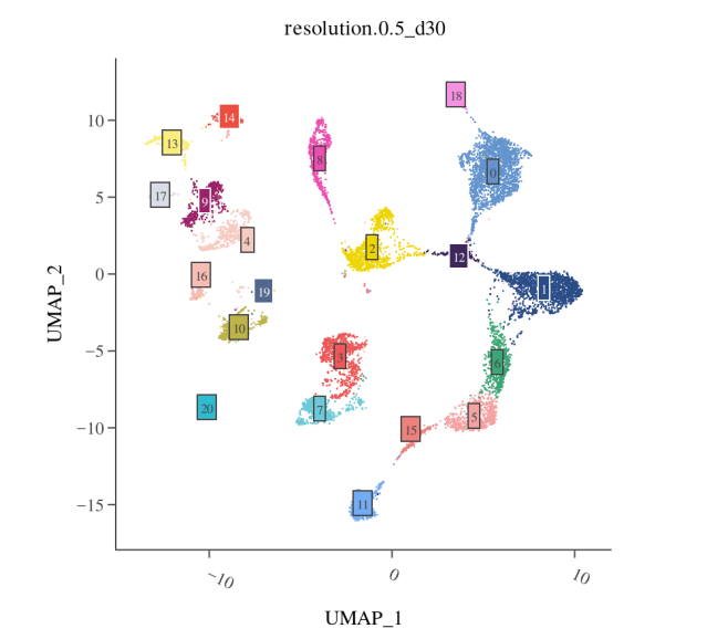 RNA 聚类小提琴图