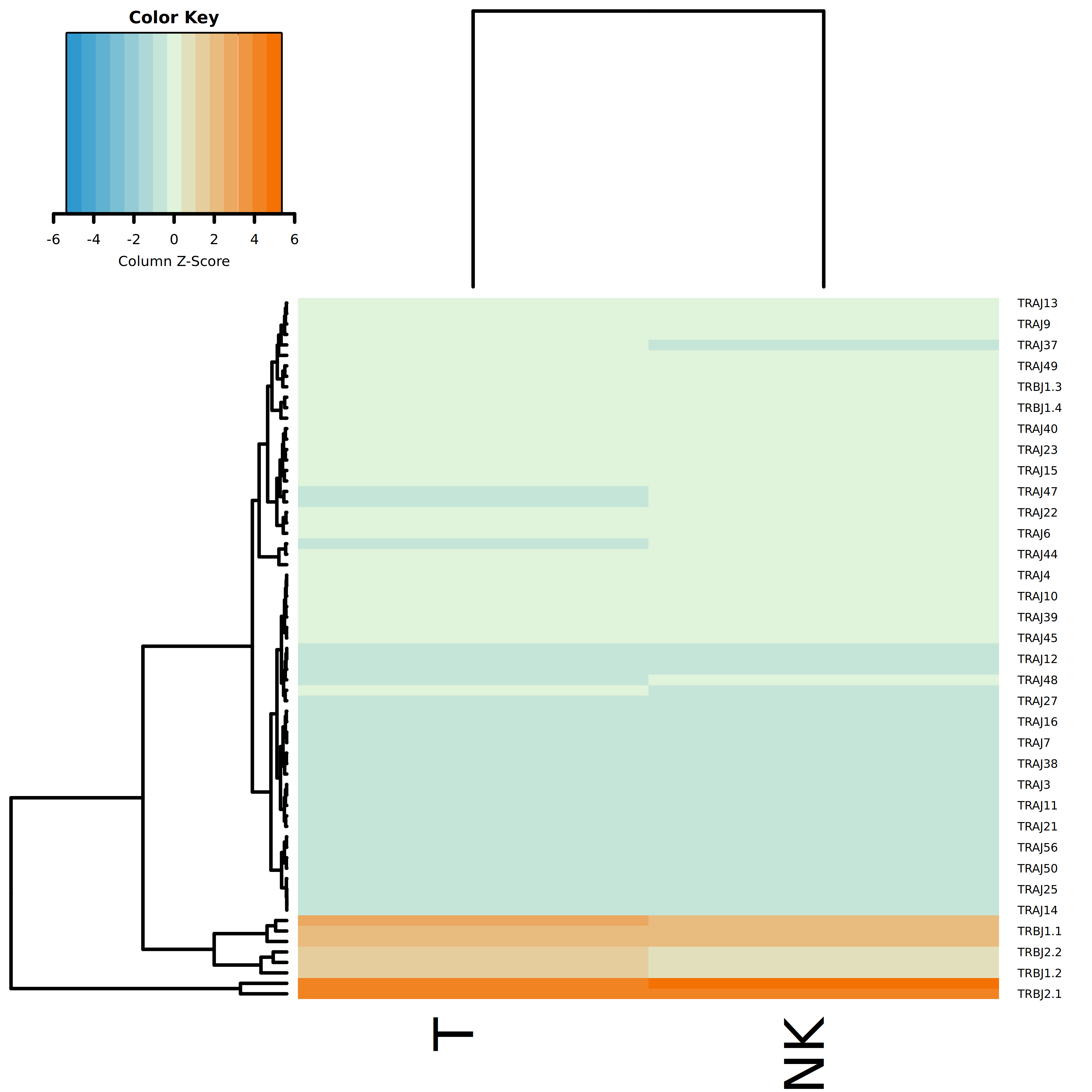 V/J 基因差异分析热图示例