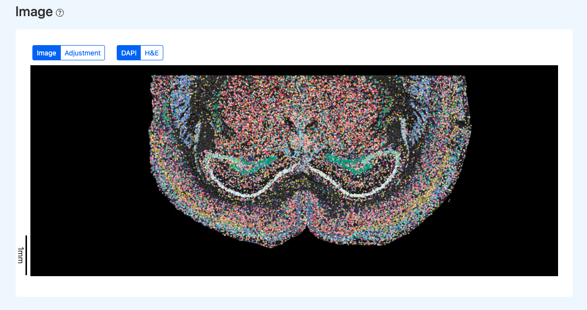 SeekSpace QC Report Interface Illustration