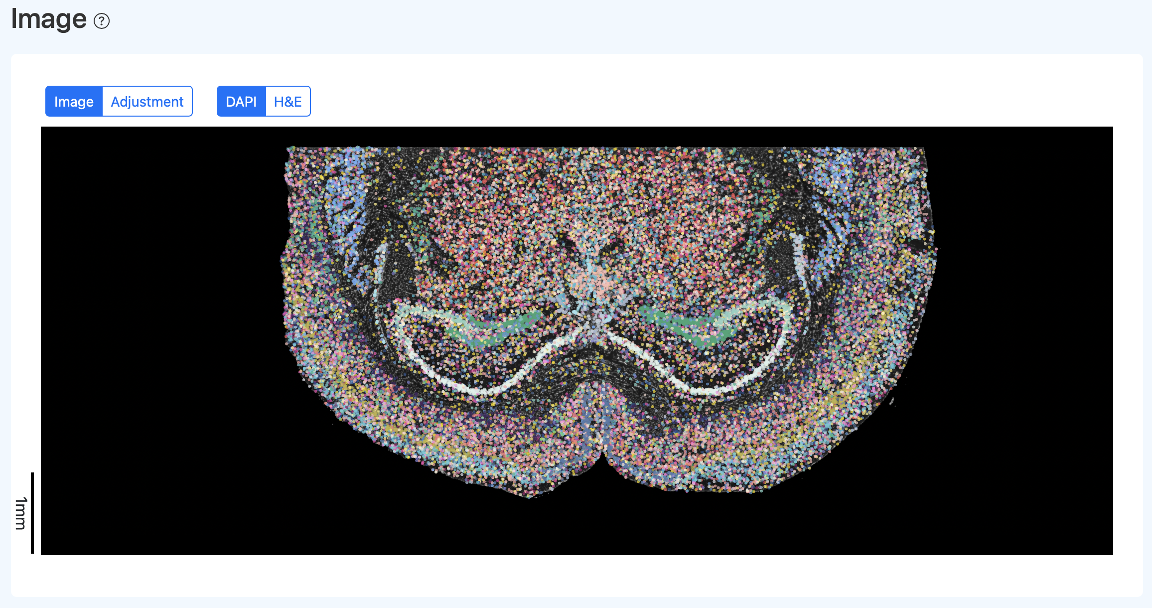SeekSpace QC Report DAPI Effect After Calibration