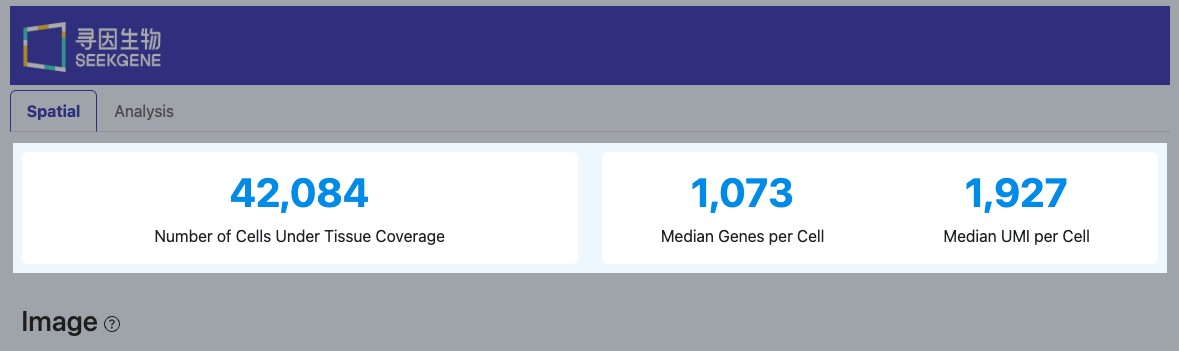 SeekSpace Joint Metrics